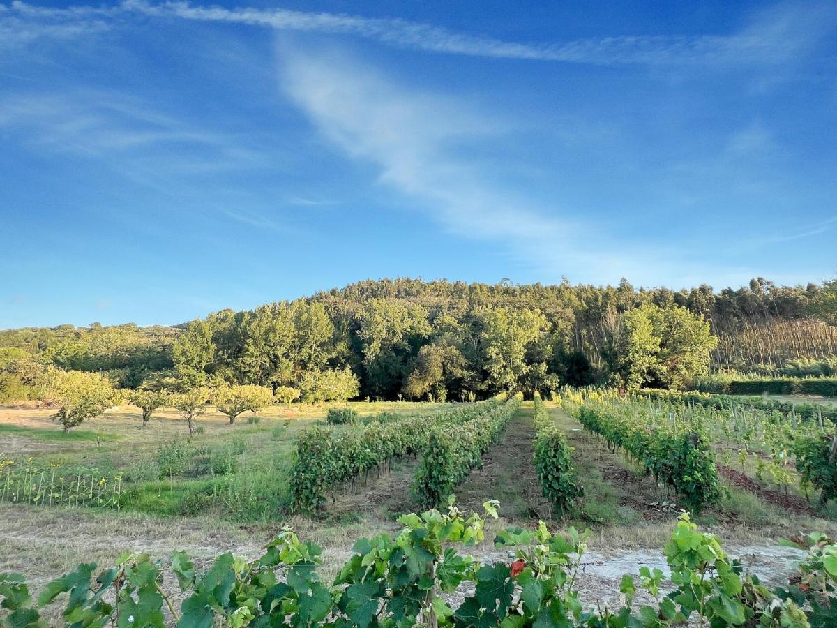 Quinta Mourada Bed and Breakfast São Bartolomeu Εξωτερικό φωτογραφία