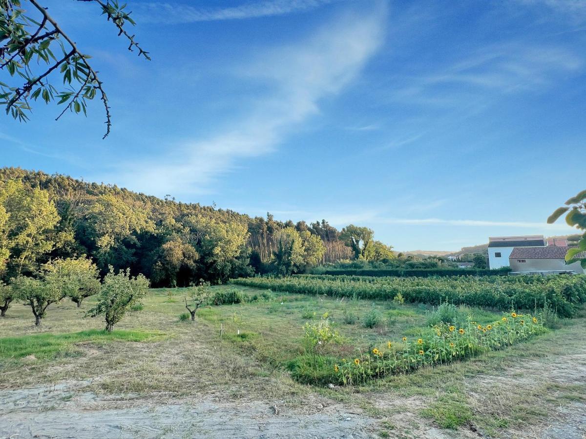 Quinta Mourada Bed and Breakfast São Bartolomeu Εξωτερικό φωτογραφία